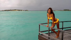 Dominique Piek