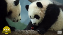 The First Year Of Mei Lun And Mei Huan