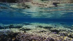 Into The Sea