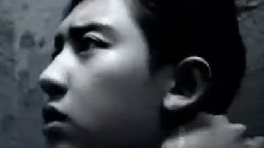 回归预告
