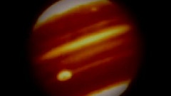 Enae Volare