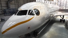 The Dove