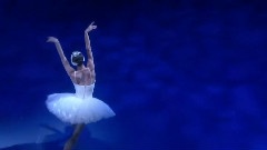 Swan Lake Ballet