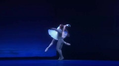 Swan Lake Ballet