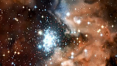 Dream Nebula Star