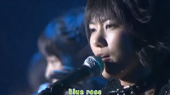 Blue rose(AKB104 選抜メンバー組閣祭り 第2公演)现场版 中日字幕