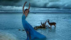 Ocean
