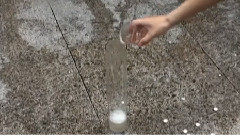 流言终结者