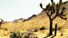 A Day In California