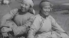 为了爱情来唱歌
