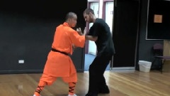 Shaolin Monk Fighting Applications