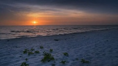 Landscapes