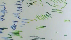 波兰古典音乐动画