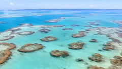 The Great Barrier Reef