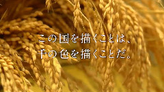 対応ブラビア新CM