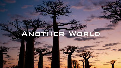 Another World