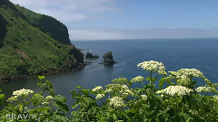 Beauty Of Earth