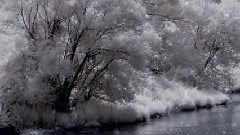 Sweet Winter Love