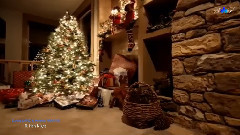 O,Holy Night
