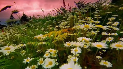 Dreamworld Music By S.E.N.S Wish