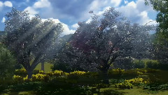 The Virtual Summer