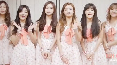 Apink Official Fan Club 二期招募