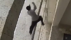 Parkour Male #Denis# 2014