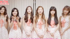 Apink Official Fan Club 二期招募