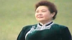 长调长