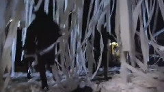 Massive Toilet Papering Prank
