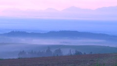 Tranquility Foggy Morning
