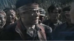 电视剧