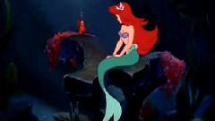 Under the Sea