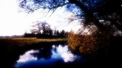 Reflection Variation