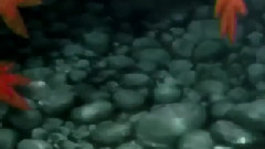 ココロの迹