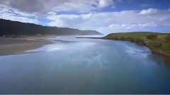 The Wild Ocean