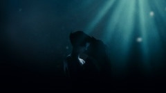 See The Light