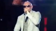 Pitbull - Paqueton Bulto Colleccion