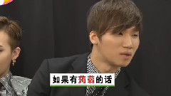 NTV ZIP BigBang Cut