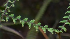 锦绣榕城
