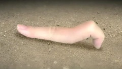 生命的行走