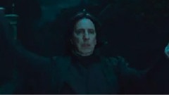 <哈利.波特与死亡圣器>