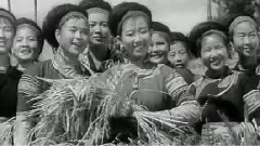 但愿年年月月响马铃