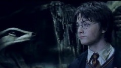Lumos Maxima