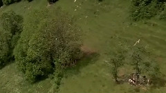 Swiss View 瑞士视图