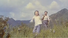 我是一颗蒲公英的种子