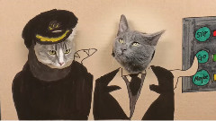 Titanic 猫咪版
