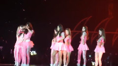 Hoot