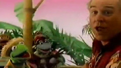 Caribbean Amphibian