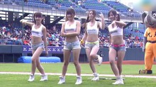  - CPBL 狮VS象 象young女孩赛前热舞